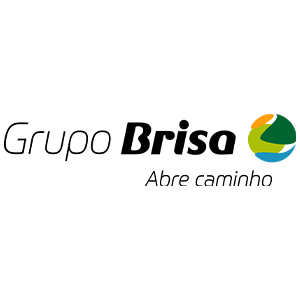 Grupo Brisa Logo